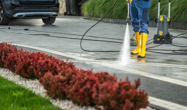 Best Sidewalk and Walkway Cleaning  in Pho, IL